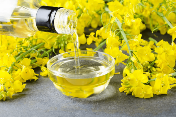 Canola Oil (Rapeseed)