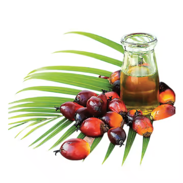 Palm Oil