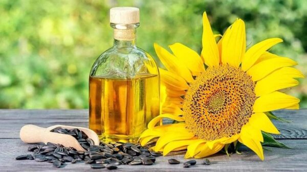 Sunflower Cooking Oil